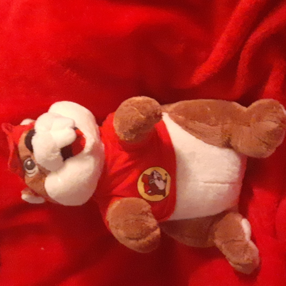 10 inch buc ees plush.